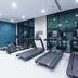 Palestra