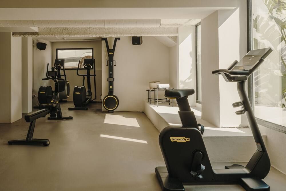 Palestra