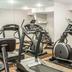 Palestra
