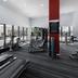 Palestra