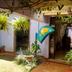 Ingresso