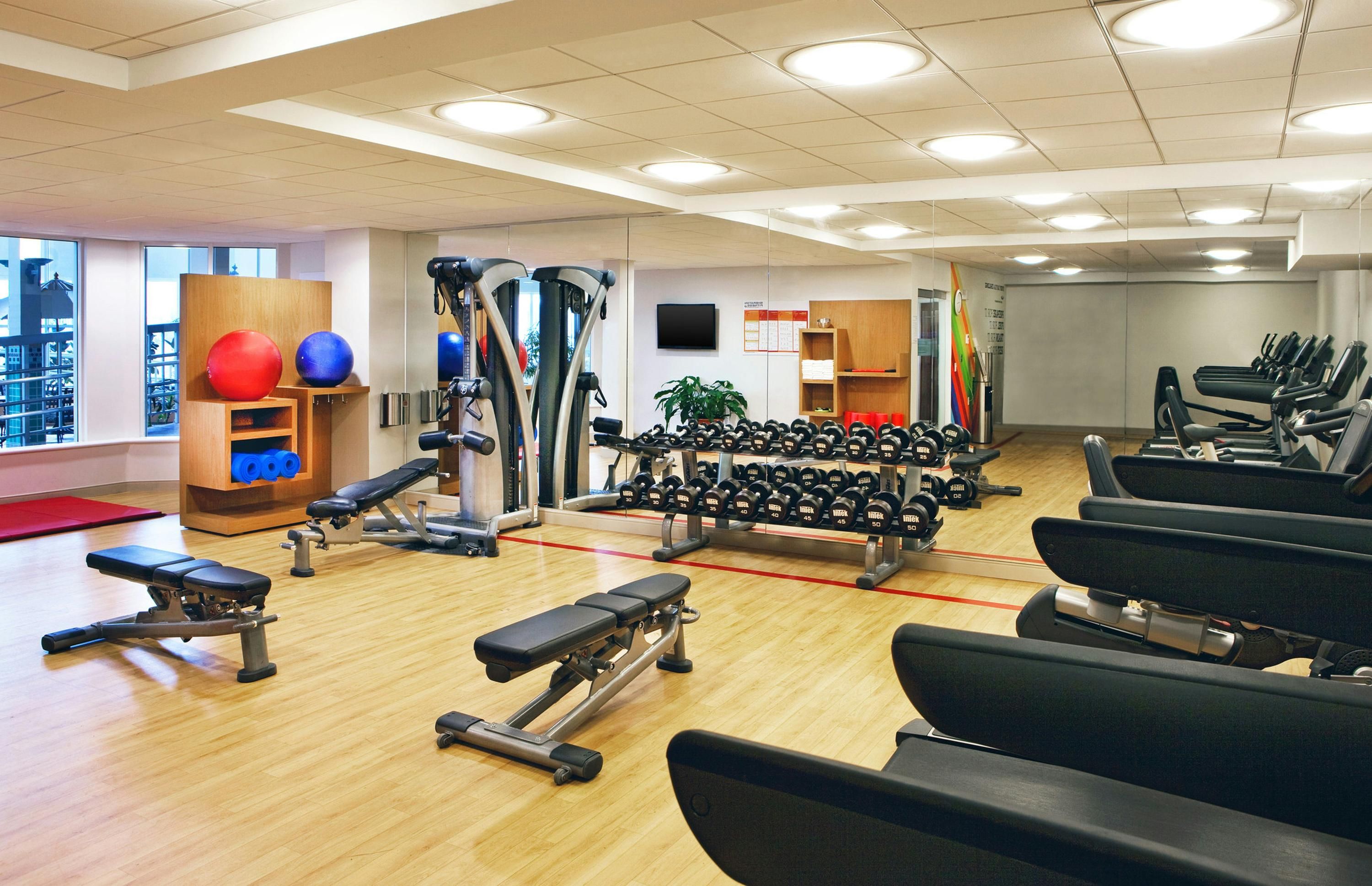 Palestra