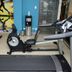 Palestra
