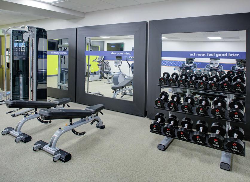 Palestra Foto