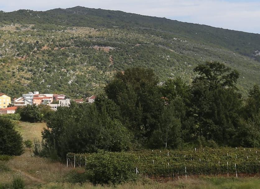 Vista esterna Foto