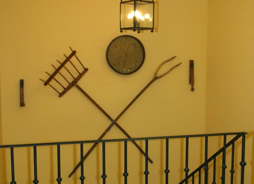 Scale Foto