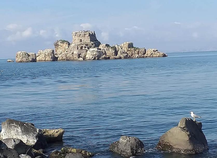 Altro Foto