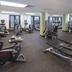 Palestra