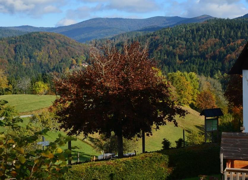Vista esterna Foto
