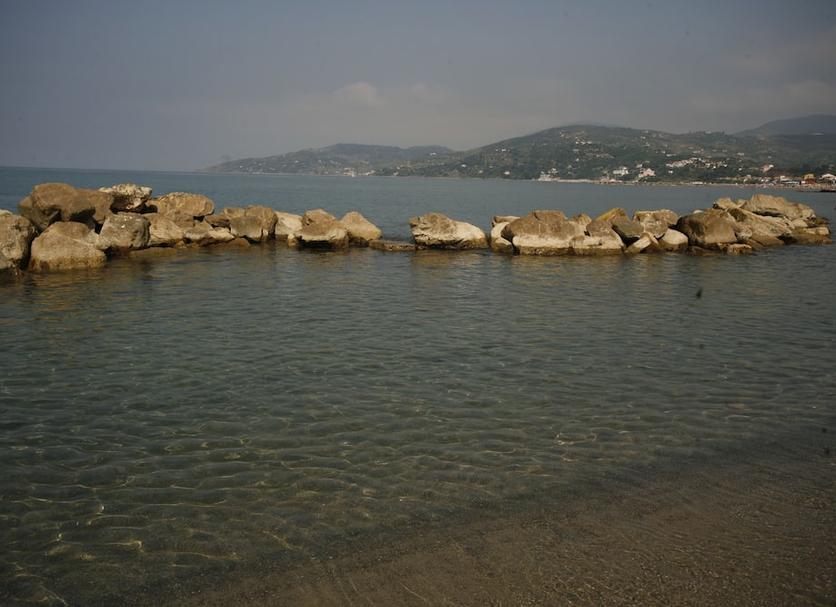 Altro Foto
