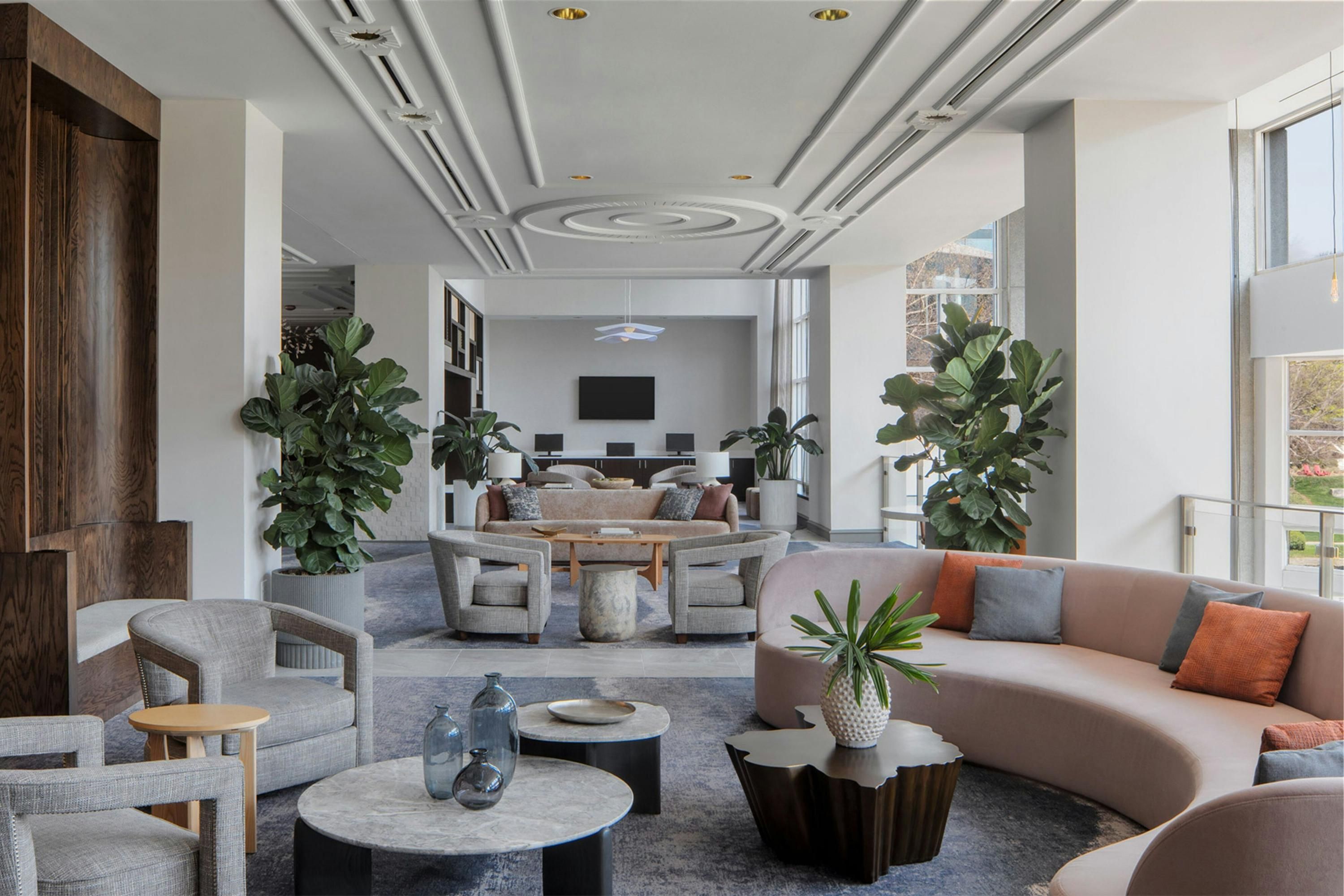 Area lounge