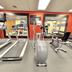 Palestra