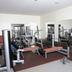 Palestra