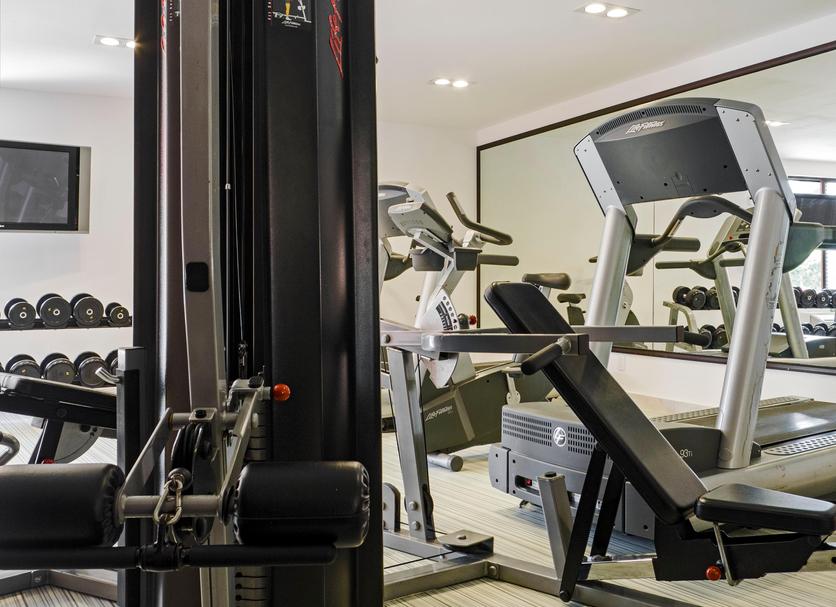 Palestra Foto