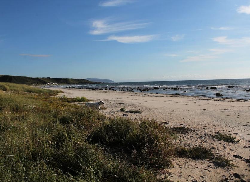 Spiaggia Foto