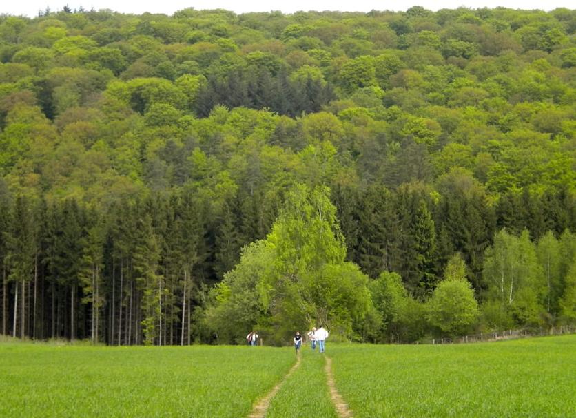 Vista esterna Foto