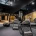 Palestra
