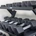 Palestra