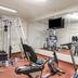 Palestra