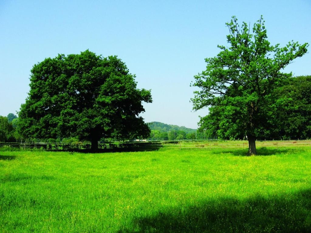 Vista esterna