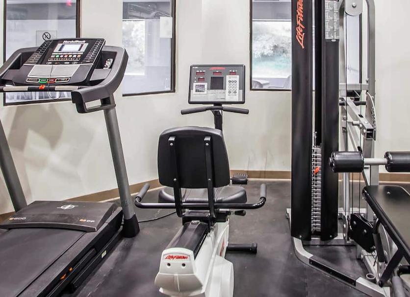 Palestra Foto