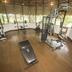 Palestra
