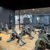 Palestra