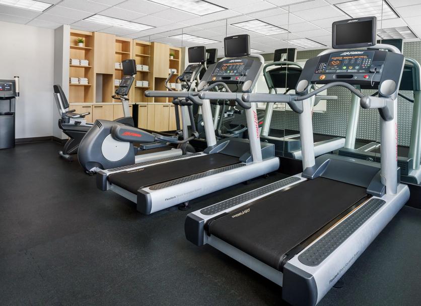 Palestra Foto