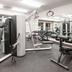 Palestra