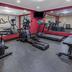 Palestra