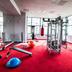 Palestra