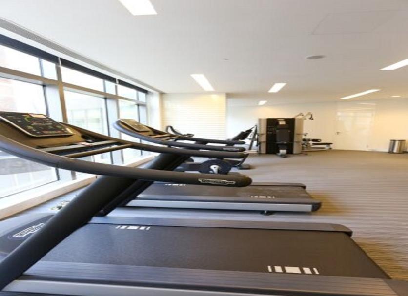 Palestra Foto