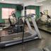 Palestra