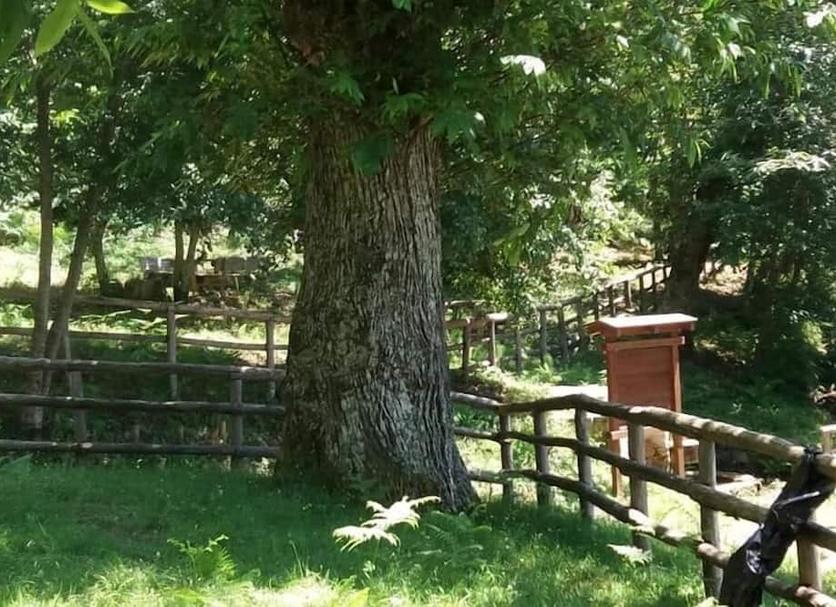 Vista esterna Foto