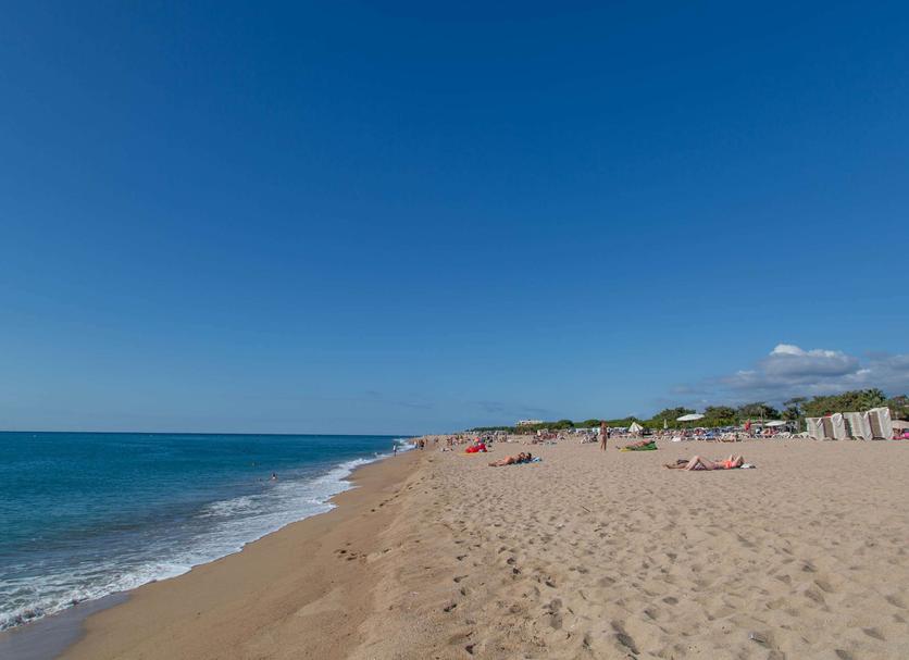 Spiaggia Foto