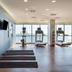 Palestra