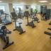 Palestra