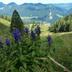 Vista esterna