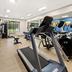 Palestra
