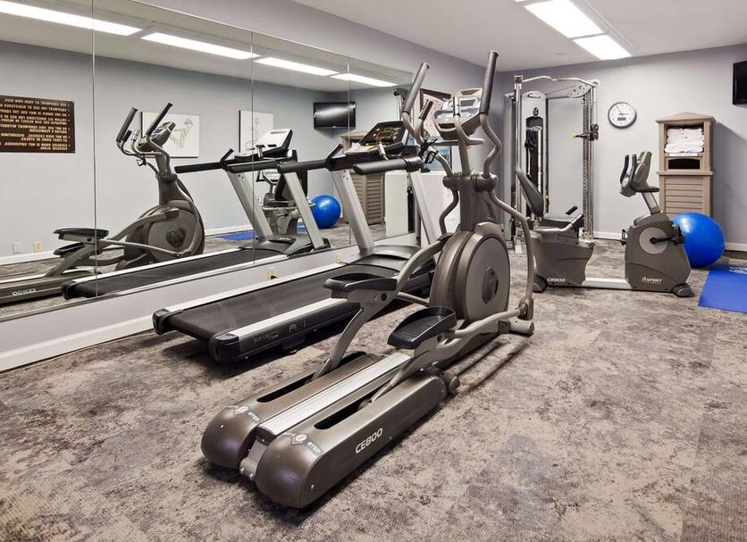 Palestra Foto