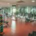 Palestra