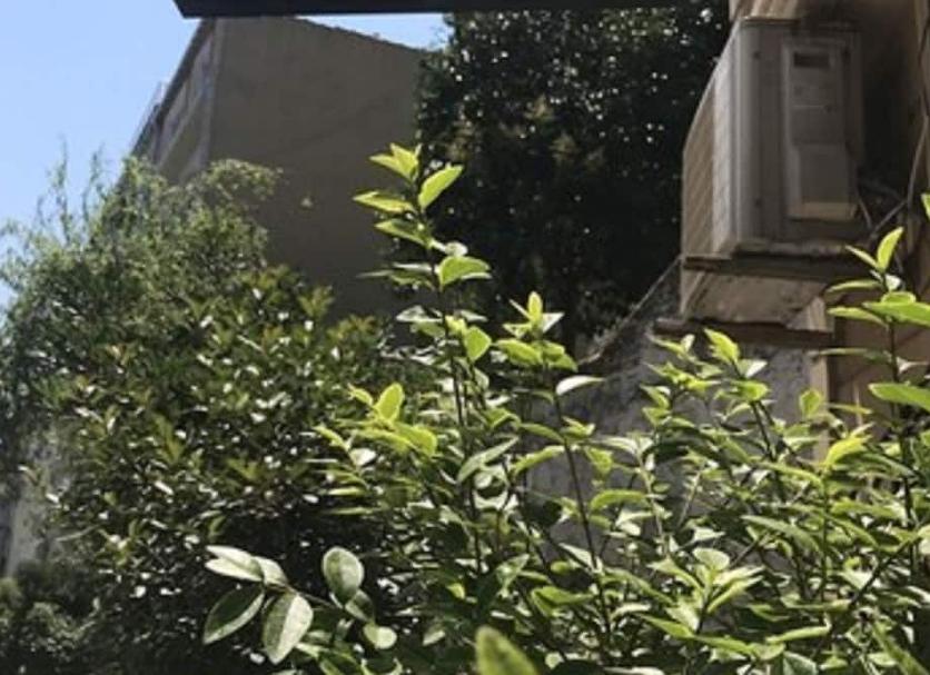 Vista esterna Foto