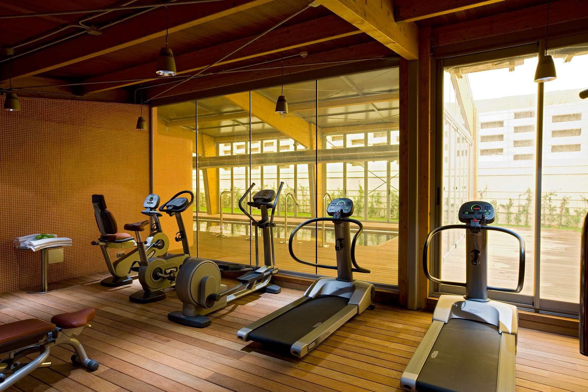 Palestra