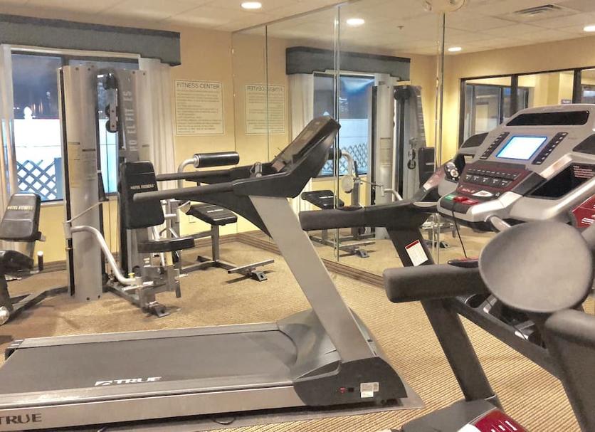 Palestra Foto
