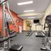 Palestra