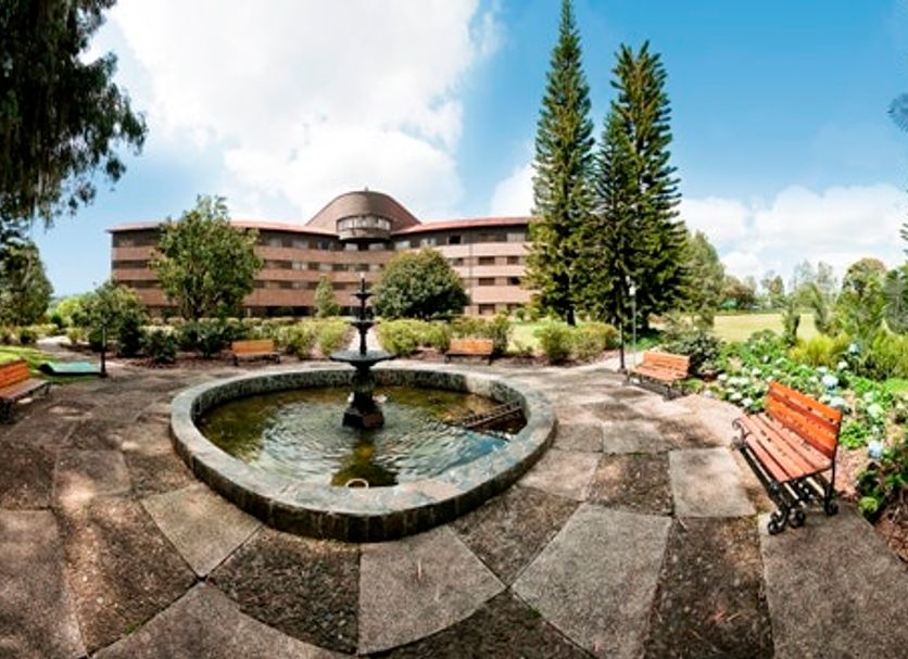 Edificio Foto