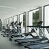 Palestra