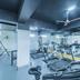 Palestra