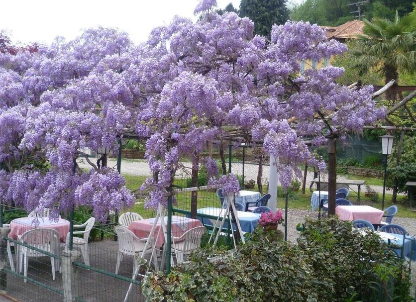 Altro Foto