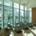 Palestra